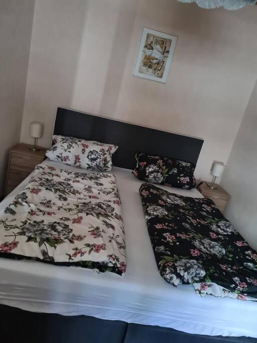 Gemuetliche Ferienwohnung Am Waldrand Elgersburg Экстерьер фото