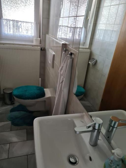 Gemuetliche Ferienwohnung Am Waldrand Elgersburg Экстерьер фото